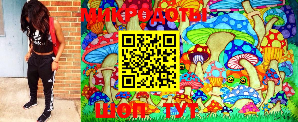 Псилоцибиновые грибы мухоморы Анапа