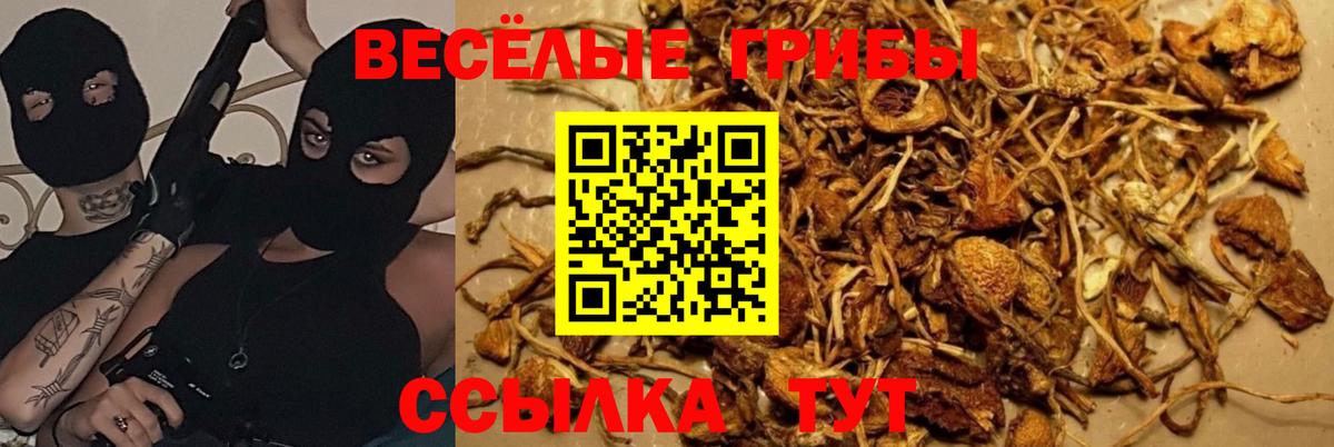Псилоцибиновые грибы ЛСД  Вход с VPN  Галлюциногенные грибы MAGIC MUSHROOMS  Анапа 